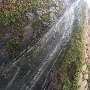 Meet your Posher, Steven